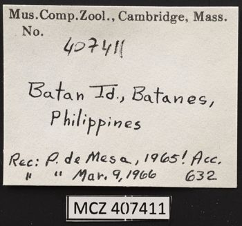 Media type: image;   Malacology 407411 Description: Specimen label;  Aspect: Labels
